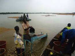 Exploitation aurifère par drague sur les cours d’eau au Mali : Un arrêté interministériel pour la suspension