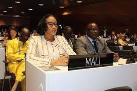 Mme N’Diaye Ramatoulaye Diallo à la session du comité du patrimoine mondial de l’UNESCO : Une invite à ne pas faire de l’amalgame par rapport à la crise au Centre