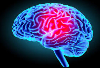 Santé : Comment fonctionne le cerveau ?