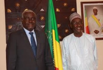 Comité de suivi et de soutien à la transition au Mali : La communauté internationale se solidarise avec le peuple malien