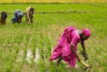 Agriculture : L’ATI, une structure à soutenir pour booster le développement rural