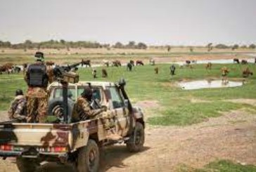 Lutte contre les terroristes : Plusieurs terroristes tués lors des patrouilles des FAMa