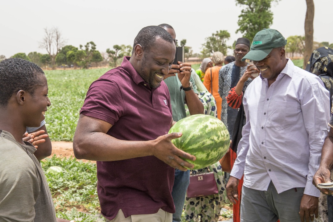 Sécurité alimentaire : « L’agriculture est un gros levier de croissance économique et créatrice de richesses et d’emplois », dixit Ibrahim Diawara, PDG de IBI Group