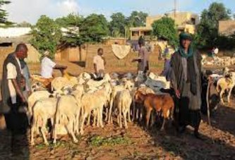 Présentation synthétique de l’élevage et de la pêche du Mali