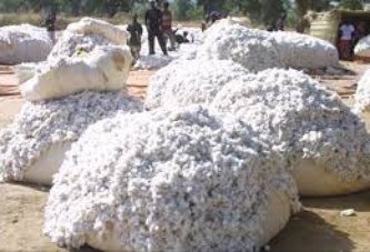 KOUMANTOU : 300 tonnes de coton parties en fumée