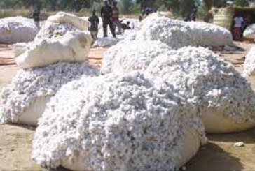 KOUMANTOU : 300 tonnes de coton parties en fumée