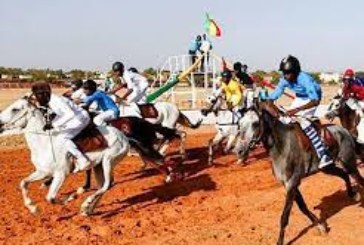 Sport Équestre : PMU-Mali fait des heureux