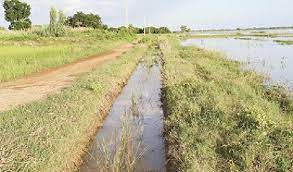 Sofara : La digue rizicole attaquée, le groupe d’alimentation en eau complètement détruit