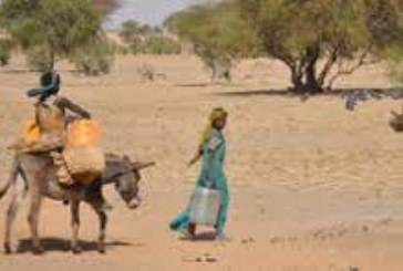 Changements climatiques : La QCN-Mali est fin prête