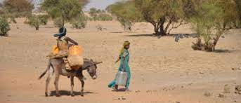 Changements climatiques : La QCN-Mali est fin prête