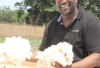 Champ d’expérimentation de Diazon à Sala : Une révolution dans la culture cotonnière et la filière coton