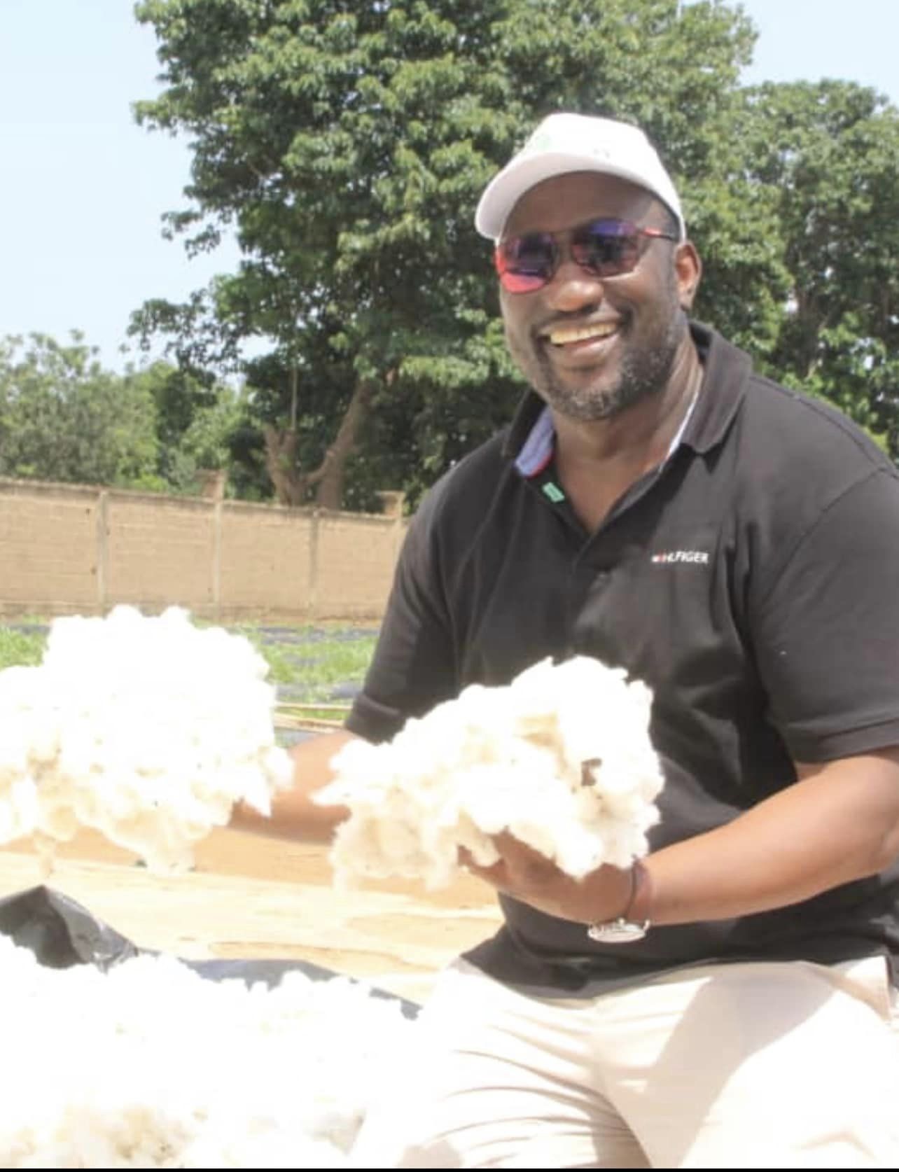 Champ d’expérimentation de Diazon à Sala : Le rendement du coton a atteint 3 tonnes à l’hectare