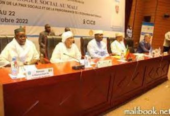 Conférence sociale dans le domaine du travail : Le SYNIAP-Mali partage les recommandations avec ses membres