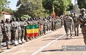 62ème anniversaire de l’Armée : Le RDA-Mali soutient le combat des FAMa