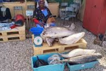 Agence de gestion du Marché central à poisson de Bamako : Le programme annuel de 2022 exécuté de manière satisfaisante