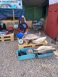 Agence de gestion du Marché central à poisson de Bamako : Le programme annuel de 2022 exécuté de manière satisfaisante