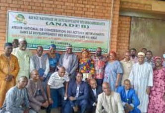 Promotion des bioénergies au Mali : l’ANADEB et l’ONG Mali Folk-Center Nyetaa mutualisent leurs efforts