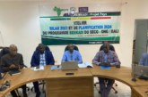 Programme Benkadi du SECO- ONG/Mali : Le bilan des activités réalisées en 2023 dévoilé
